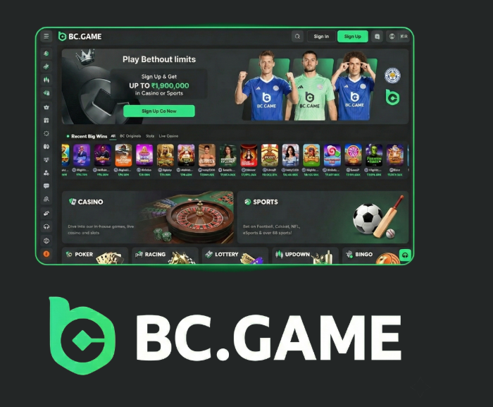 The Ultimate BC.Game Bonus Guide The Ultimate BC.Game Bonus Guide